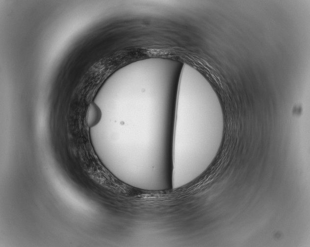 X0000096380763200801241003