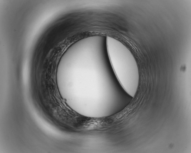 X0000096380764200801241003