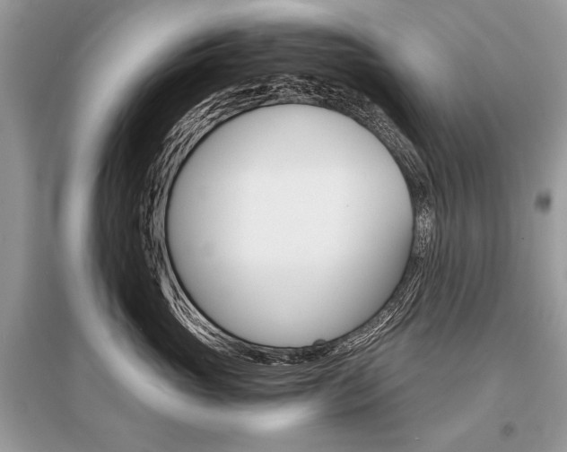 X0000096380765200801241003