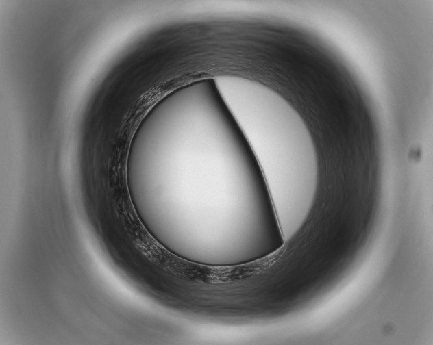 X0000096380766200801241003