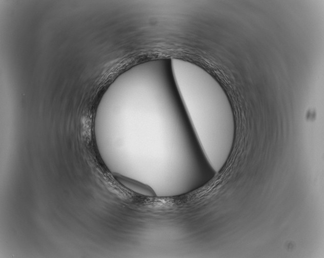 X0000096380768200801241003