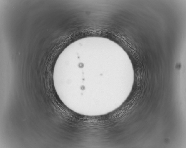 X0000096380769200801241002