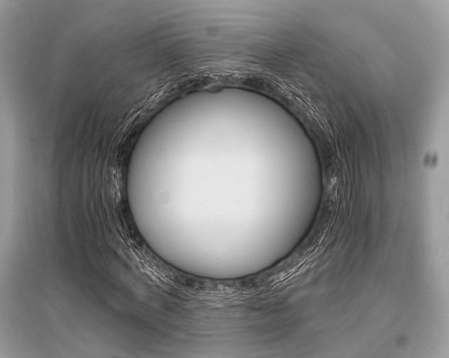 X0000096380772200801241002