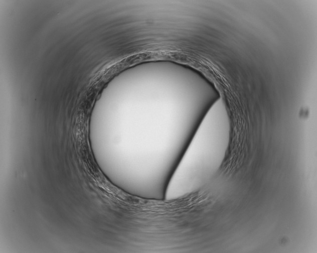 X0000096380773200801241002