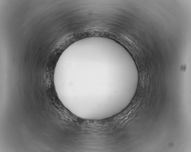X0000096380774200801241002