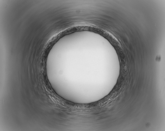 X0000096380775200801241002