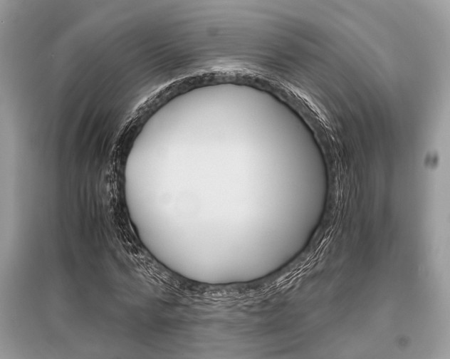 X0000096380776200801241002