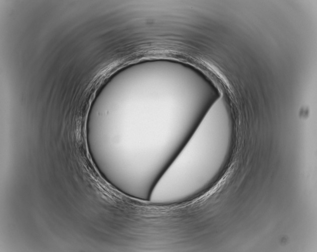 X0000096380777200801241002