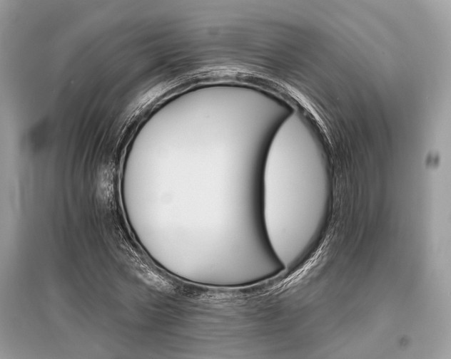 X0000096380778200801241002