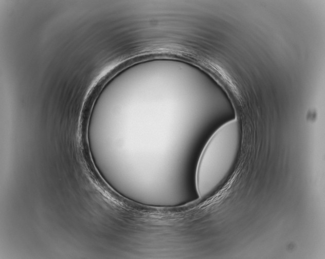 X0000096380780200801241002