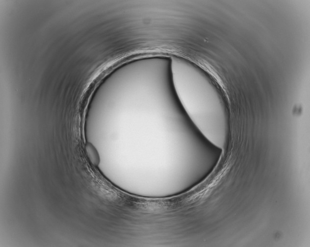 X0000096380781200801241002