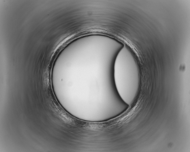 X0000096380782200801241002