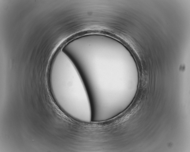 X0000096380783200801241002