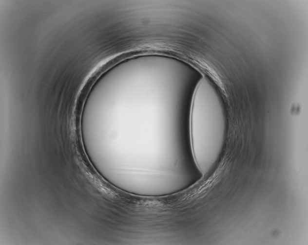 X0000096380784200801241002