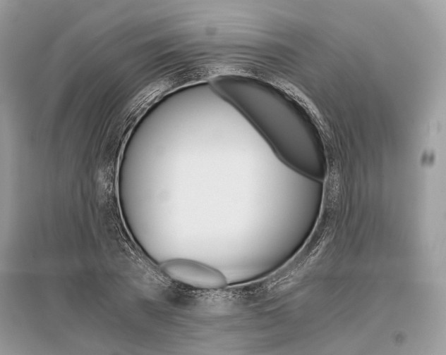 X0000096380785200801241002