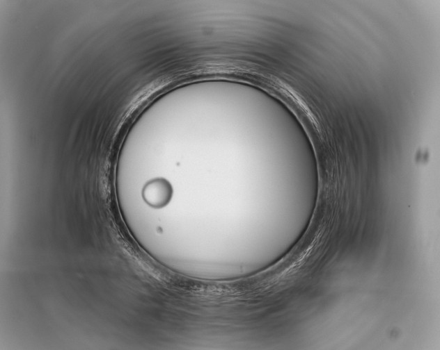 X0000096380786200801241002
