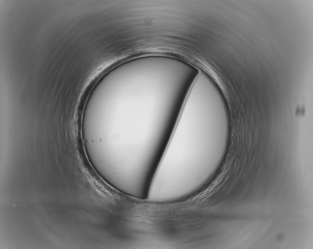 X0000096380787200801241002