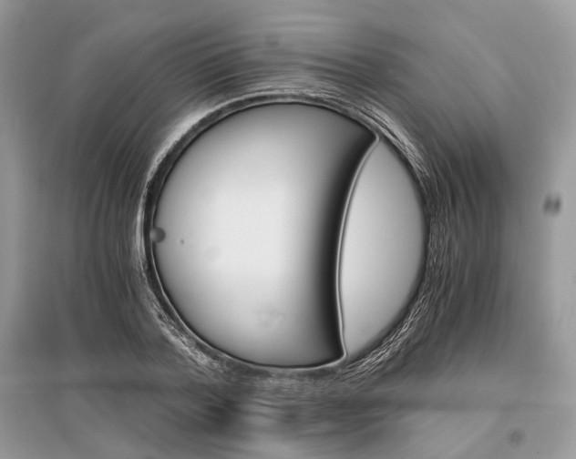 X0000096380788200801241002