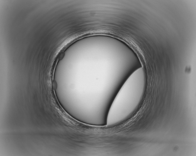 X0000096380789200801241002