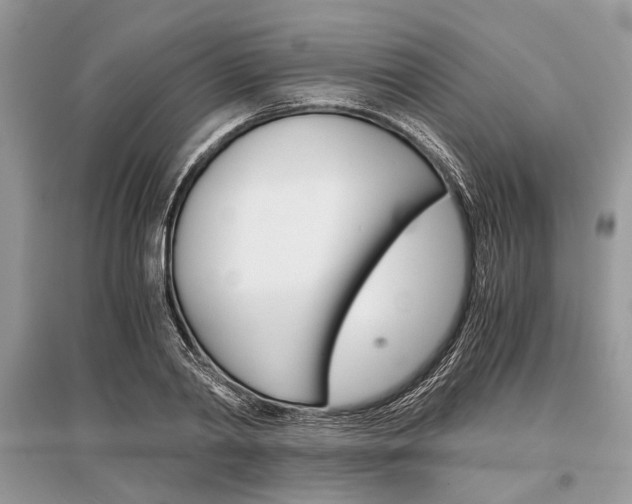 X0000096380790200801241002