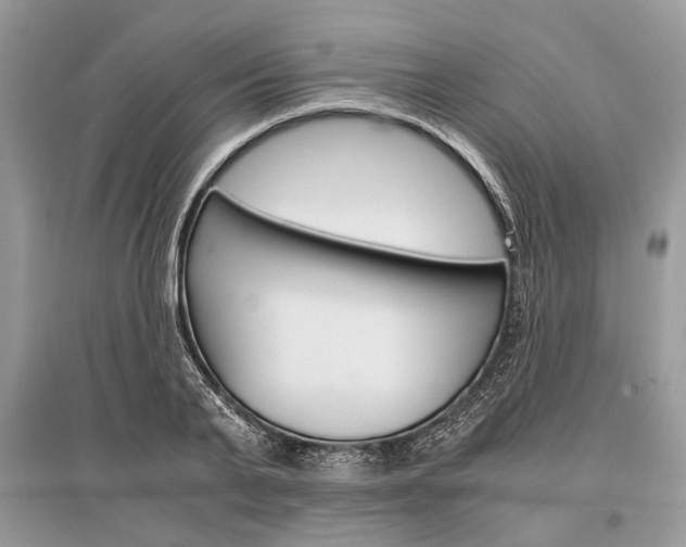 X0000096380791200801241002