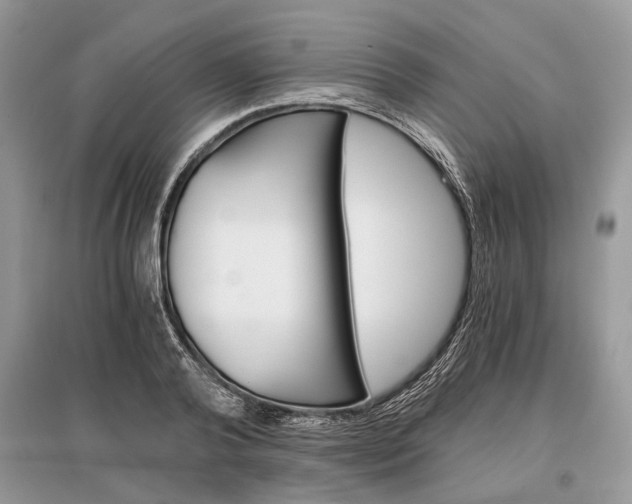 X0000096380792200801241002