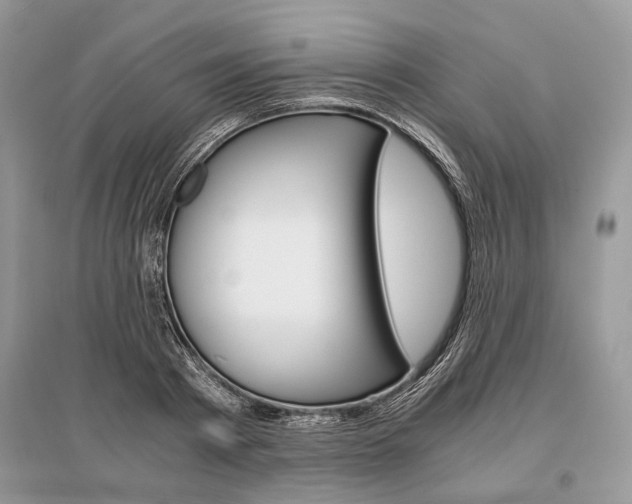 X0000096380793200801241002