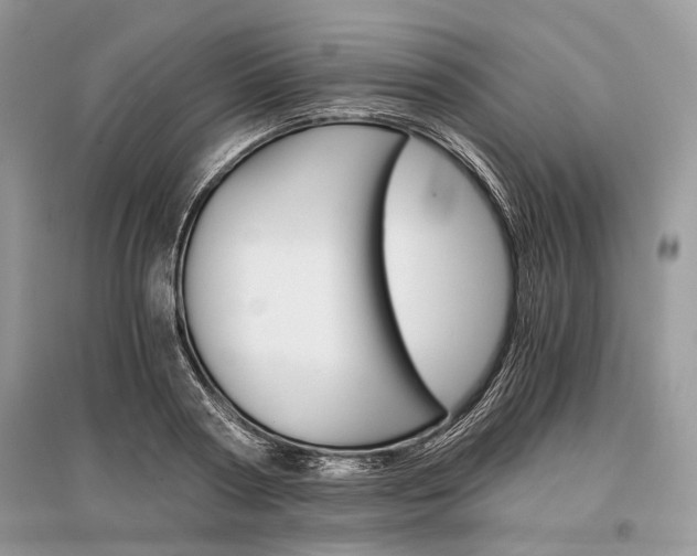 X0000096380794200801241002