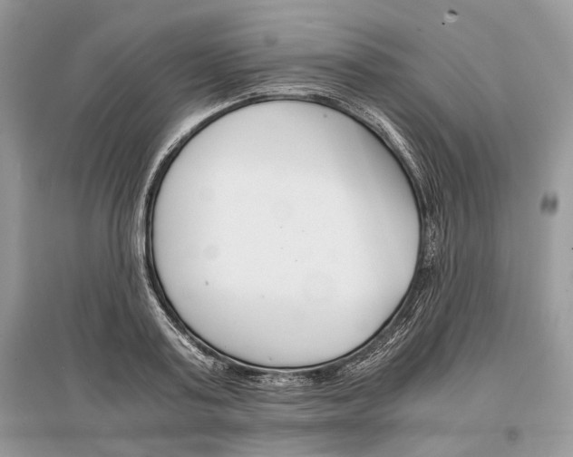 X0000096380795200801241002