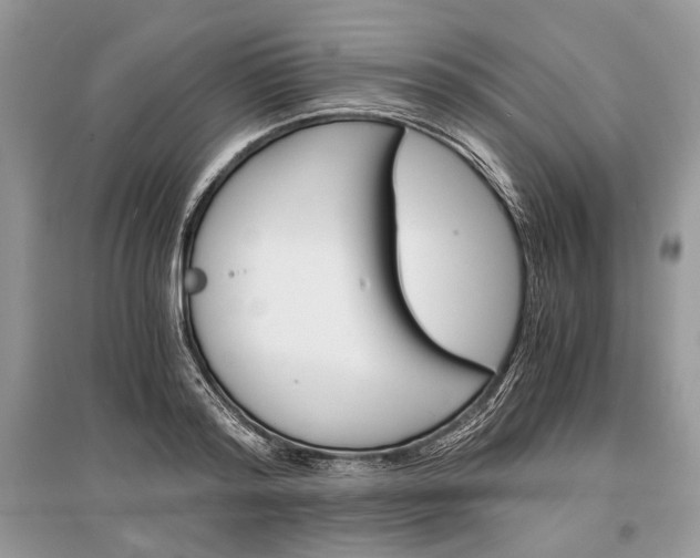 X0000096380796200801241002