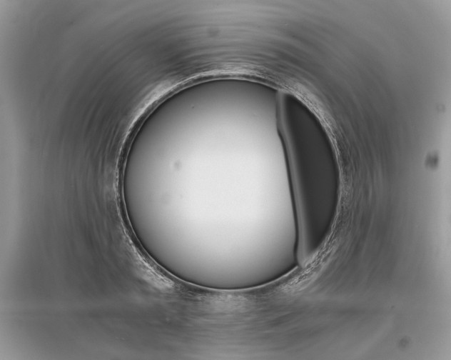 X0000096380797200801241002