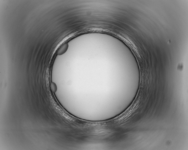 X0000096380798200801241002