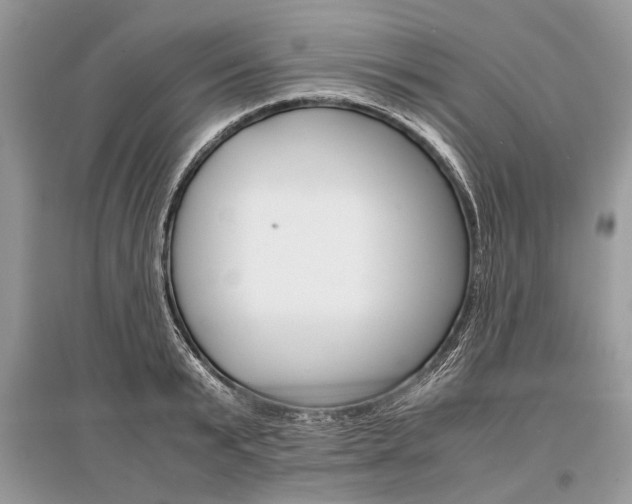 X0000096380799200801241002