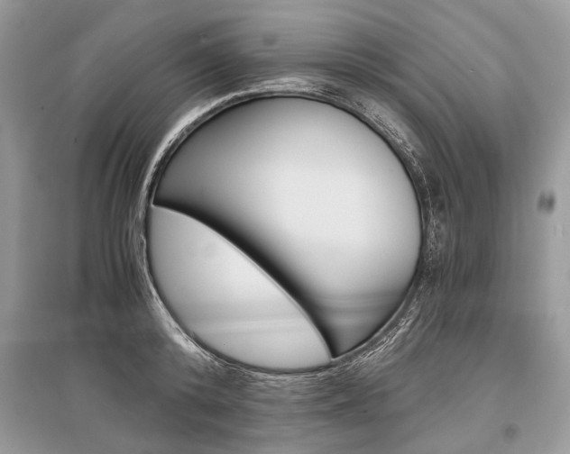 X0000096380800200801241002
