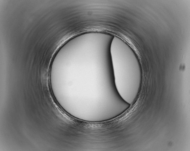 X0000096380802200801241002