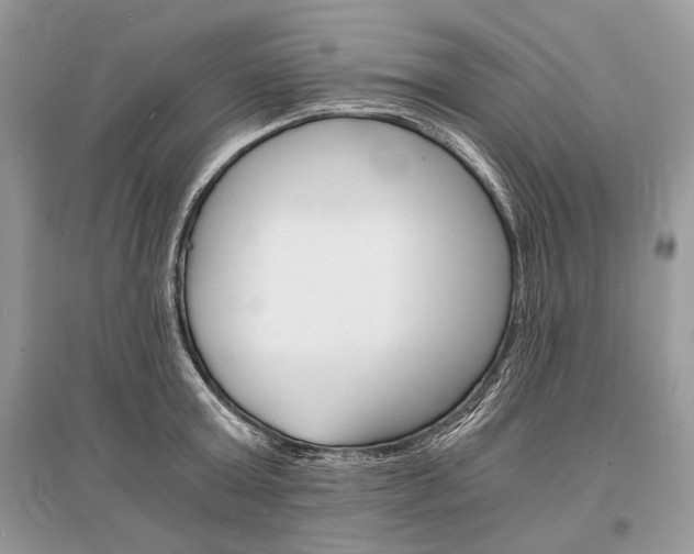 X0000096380803200801241002