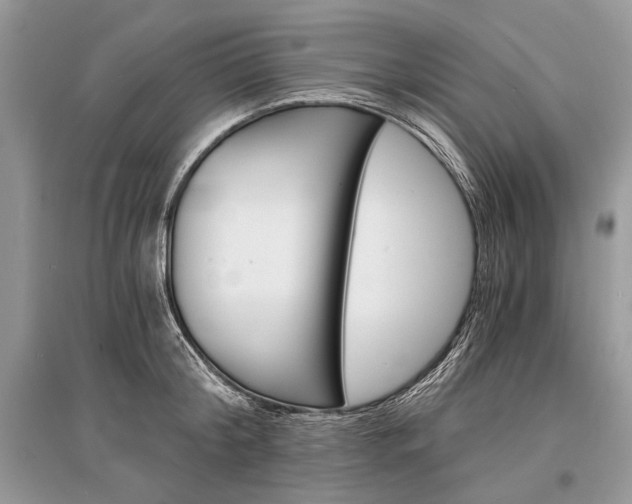 X0000096380804200801241002