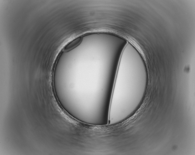 X0000096380805200801241002