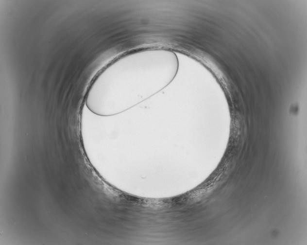 X0000096380807200801241002