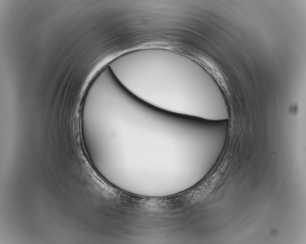 X0000096380808200801241002