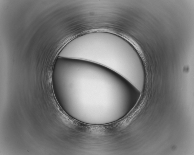X0000096380809200801241002