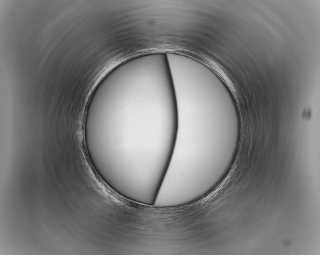 X0000096380810200801241002
