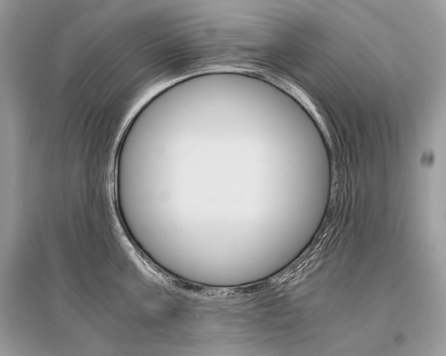 X0000096380811200801241002
