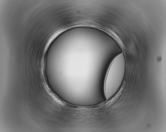 X0000096380812200801241002