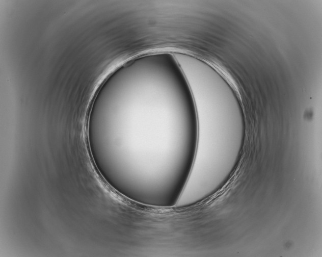 X0000096380813200801241002