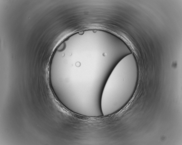 X0000096380814200801241002