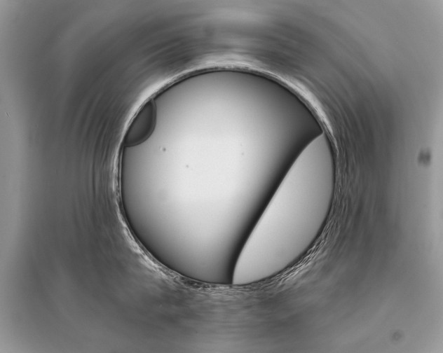 X0000096380815200801241002