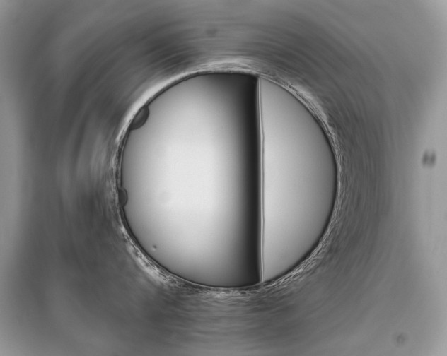 X0000096380816200801241002