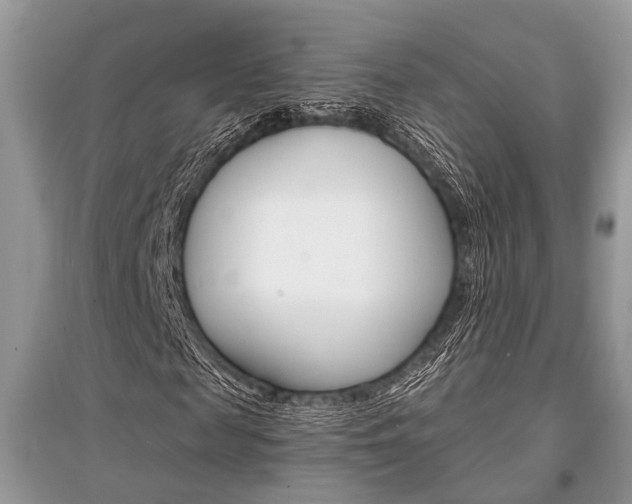 X0000096380817200801241001