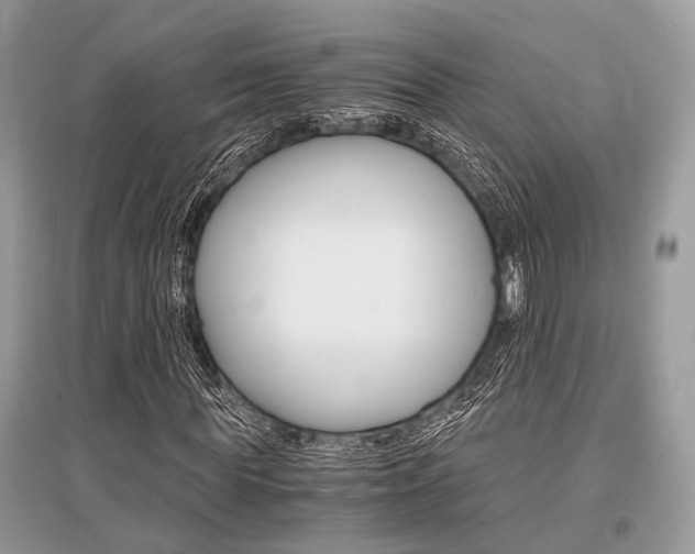 X0000096380819200801241001